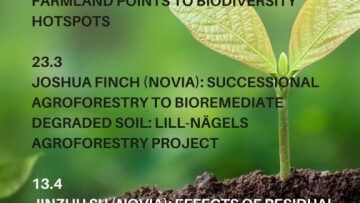 forest good morning instagram story 1