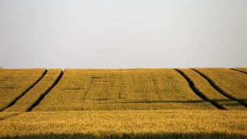 agriculture 4261639 340