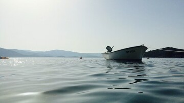 boats 1209893 340