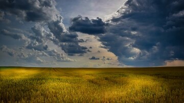 agriculture 1846341 340