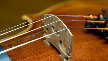 bowed stringed instrument 3130616 340