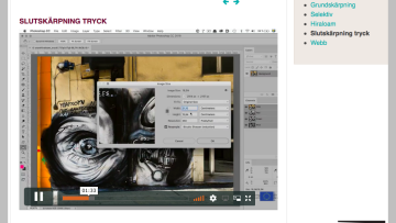 Screenshot den digitala bron2