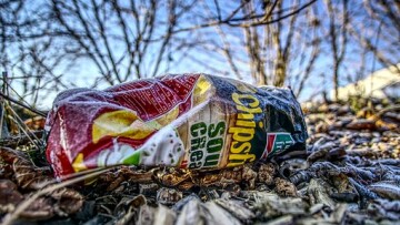 chips 3942875 340