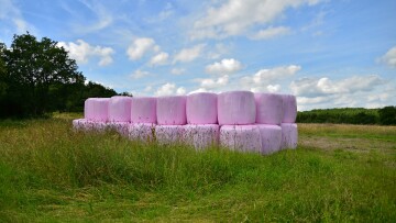 hobal ensilage Pixabay