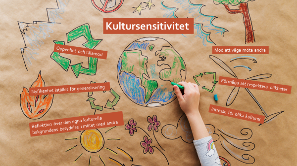 Kultursensitivitet