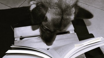 FEA Feye laser svart vit edited