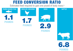 GAA Food Supply Infographic Feed Conversion Ratio