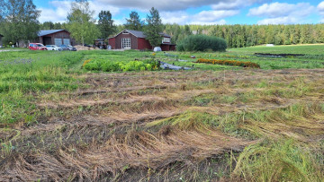 fält och åker bild från NorNa projektet