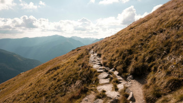 david kaloczi RbgtS9zrcY0 unsplash