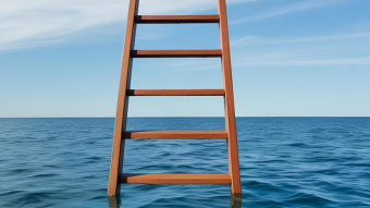 Picture ladder