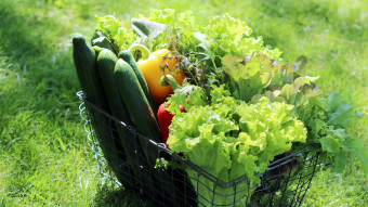 https kauppapuutarhaliitto fi wp content uploads 2023 06 juhannuskori