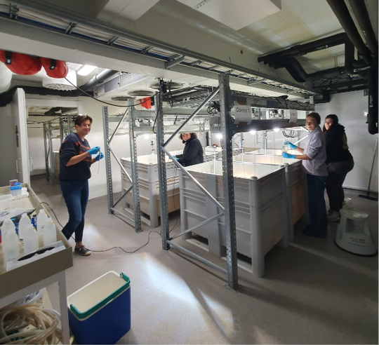 Fyra människor i ett laboratorium.