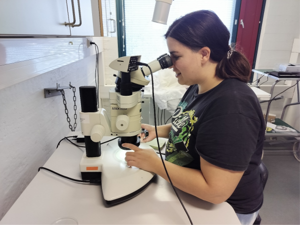 En kvinna tittar in i ett mikroskop.