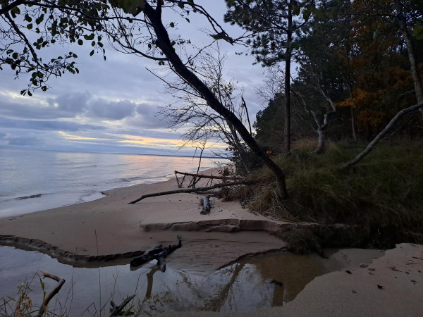 Vy mot havet från en strand. 
