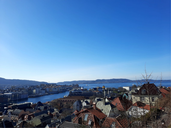 Vy över en stad. Längre bort syns havet.