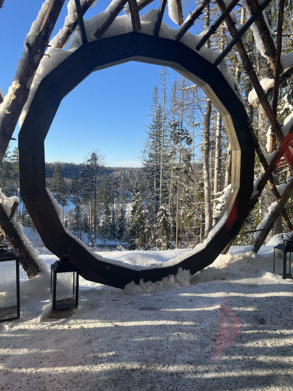 En cirkel gjord av trä som blickar ut mot en skogsmiljö.