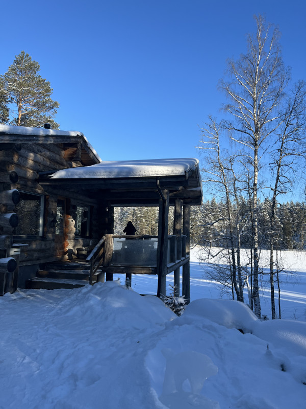 En bild på en stuga i snölandsskap. 