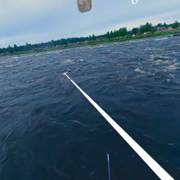 Skärmdump från applikationen i VR-programmet. En håv med en fångad fisk. 